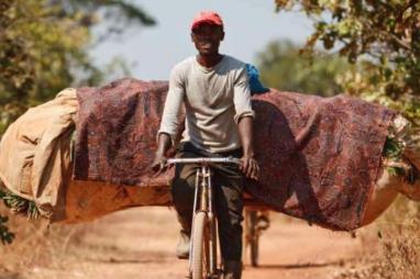 CAFI and DRC forest sector: the facts and our position