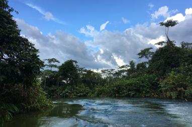 DRC Oriental programme launched to reduce emissions by 10% and improve incomes by 10%