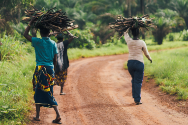 Highlights of the CAFI 2018 Annual Report