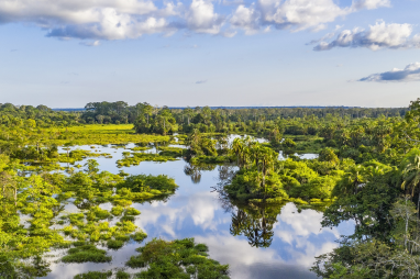 65 million agreement for R. Congo forest signed in Paris