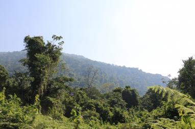 Conclusions of the DRC Independent verification