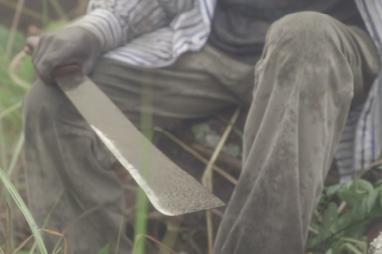 DRC Independent verification of the milestones of the LoI : conclusions and next steps