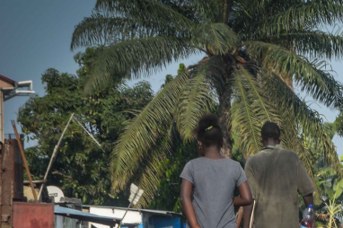 Highlights of the CAFI 2019 Annual Report