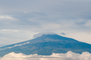 Equatorial Guinea Launches its National REDD+ Investment Plan