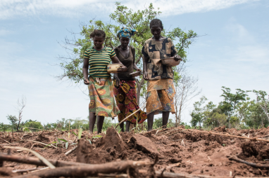 Central African Republic: Call for Expression of Interest