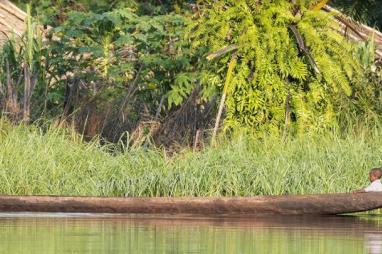 DRC : 2nd verification of the milestones of the Letter of Intent
