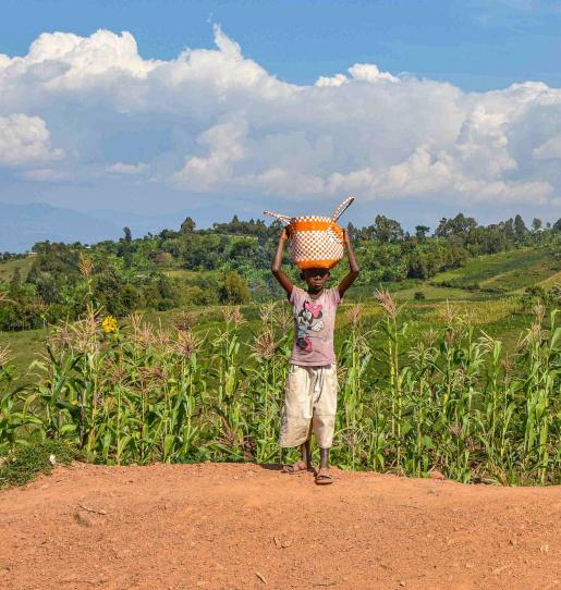 Call for expression of interest on innovative agriculture