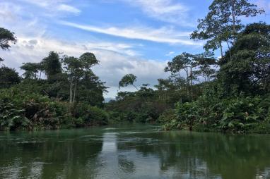 First two programmes approved in Republic of Congo to monitor forests and optimize governance in support of the Prime Minister Office