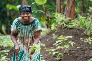 Investment and Payment for Environmental Services Hub Cameroon