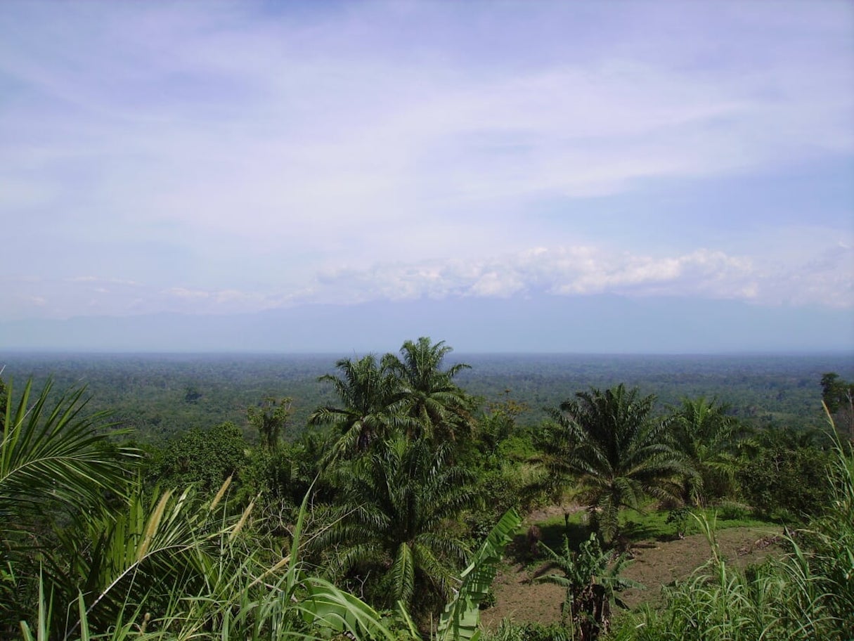 DRCongo: Tracking the milestones of the Letter of Intent