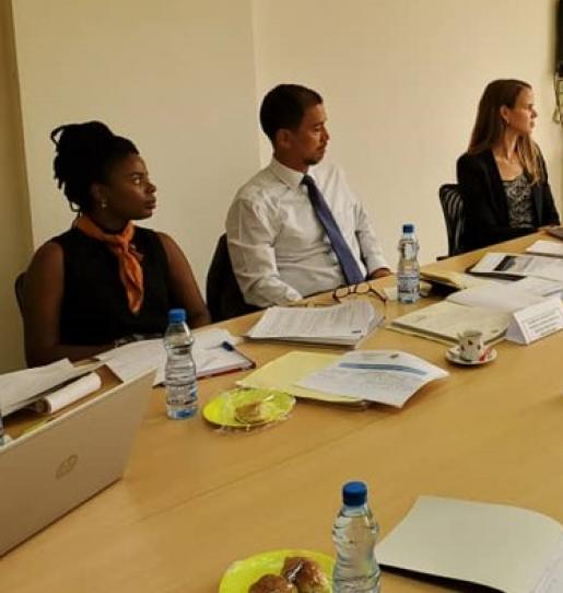 Annual review of the partnership between Gabon and CAFI – hashing out progress and recommendations