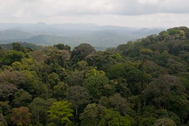 Groundbreaking developments in 2022 means greater momentum for CAFI projects in 2023