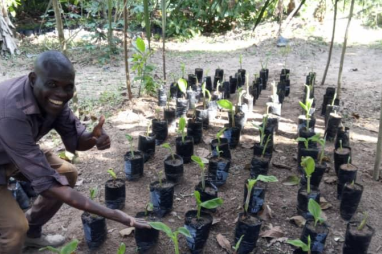 Ensure food security and increasing agricultural production without clearing forests?