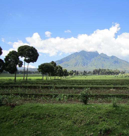 Performance-Based Financing in the DRC: CAFI’s Next Phase focuses on Payments for Environmental Services, Building Local Capacity