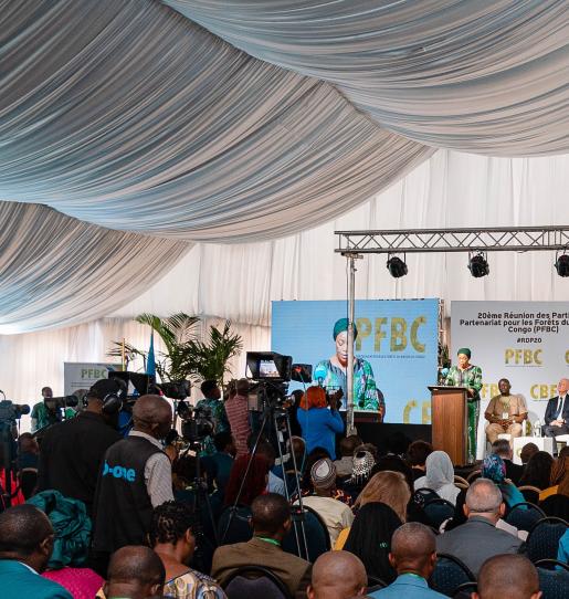Highlights and new developments for CAFI at the 20th Meeting of Parties of the Congo Basin Forest Partnership