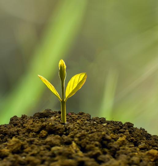 CAFI launches Call for Expressions of Interest to Support Innovative Finance (closed)
