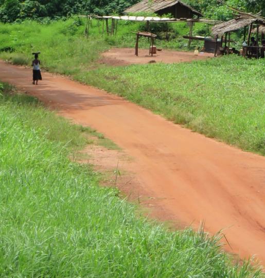 CAFI and the Central African Republic Launch US$ 10 M Call for Expressions of Interest