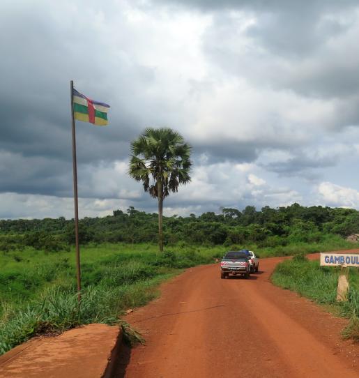 Central African Republic : High-level dialogue places forests and biodiversity at heart of 2024-2028 National Development Plan