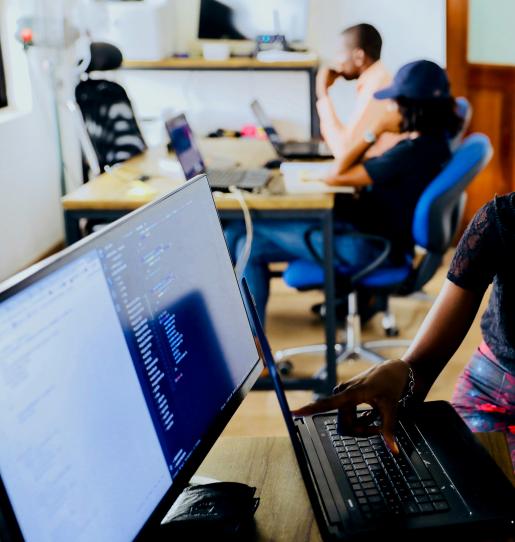 Call to the new generation of professionals committed to forest protection in Central Africa