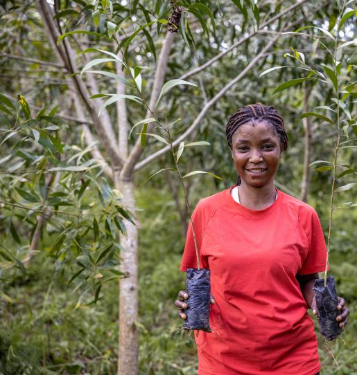 Déployer les paiements pour services environnementaux en Afrique centrale