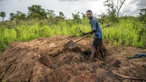 Design of a pilot project for agroecological transition