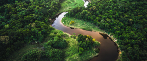 National Forest Certification