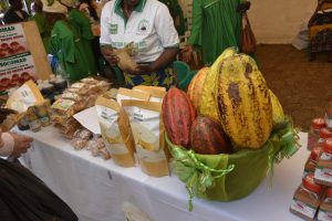 Sustainable Agriculture and Agroecological Transition in Cameroon