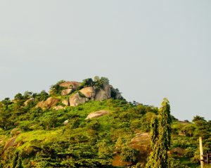 Building a national framework for sustainable land use and forest governance