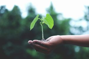 Strengthening climate governance in Gabon