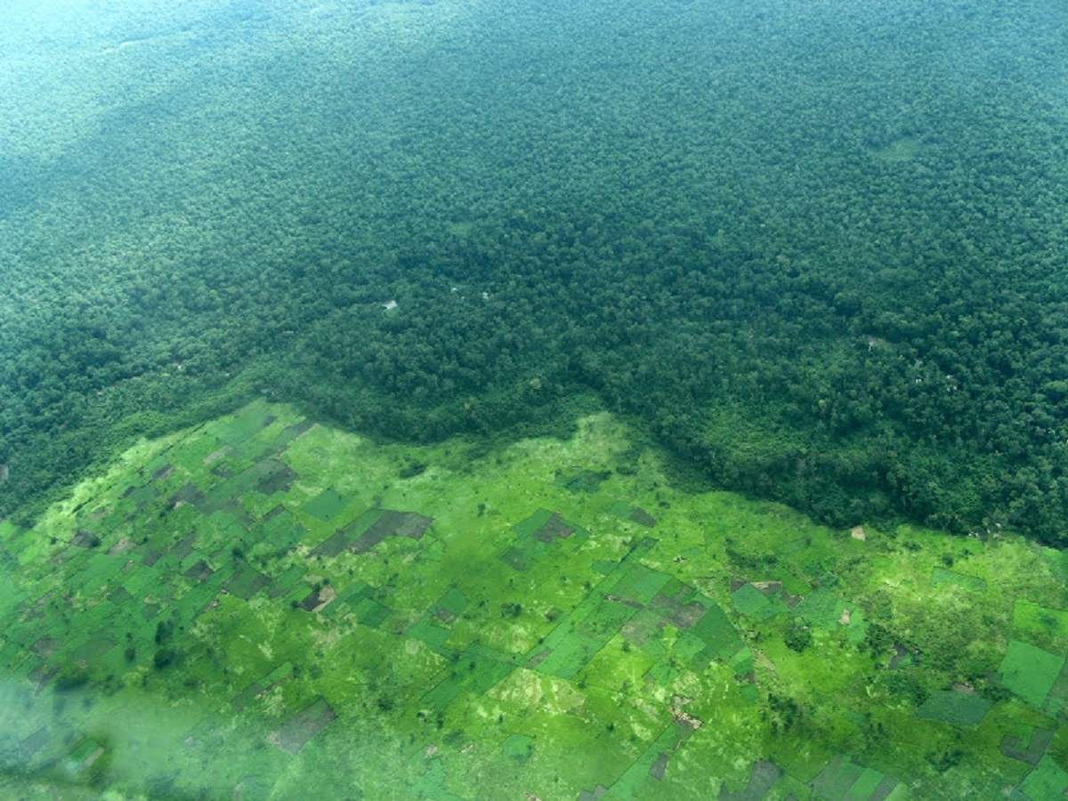 DRC: Implementing the Commitment to Secure 54 Million Hectares for Local Communities and Indigenous Peoples