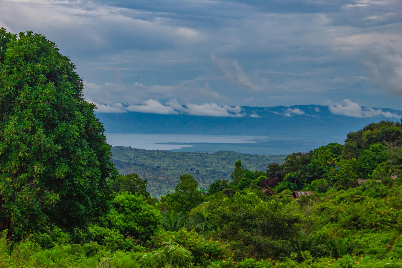 Gabon : New Agreement on Payments for Environmental Services