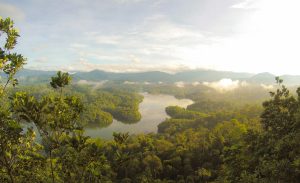 Land Tenure Reform Support (PARF I & II)