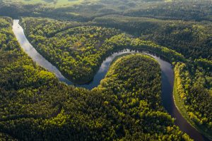Assessing deforestation and forest degradation and direct drivers