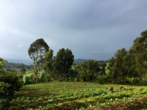 Capacity Building for Land-Use Planning Project