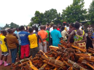Photocredit PNUD RCA Dialogue communuautaire autour des PSE a Bogoura II