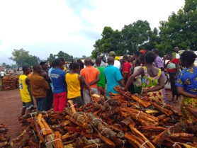Photocredit PNUD RCA Dialogue communuautaire autour des PSE a Bogoura
