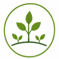 Forest Regeneration
