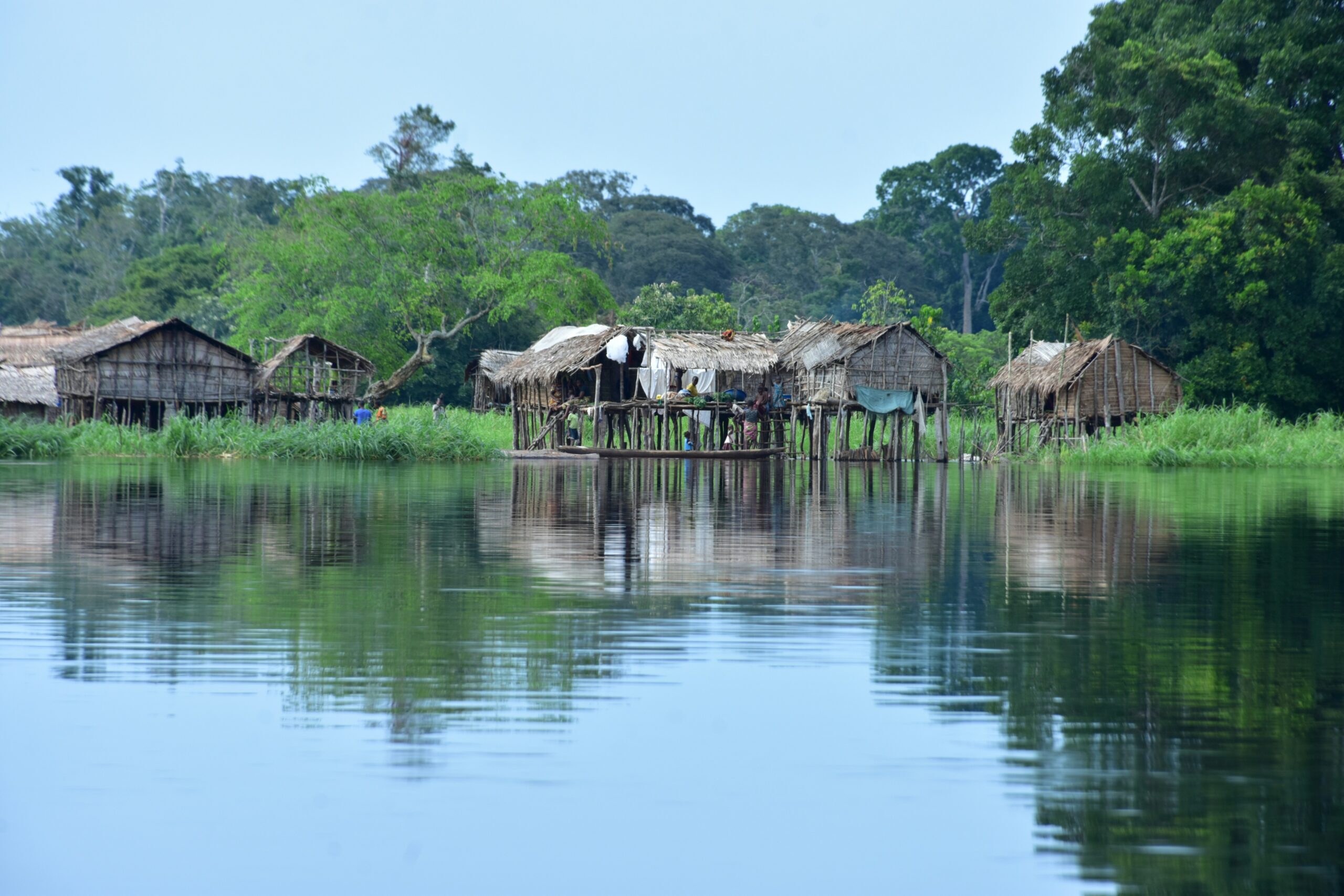 Advancing the Congo Basin Forest Agenda