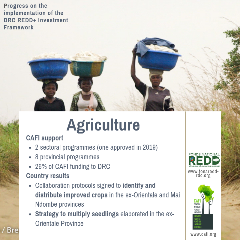 DRC progress agriculture