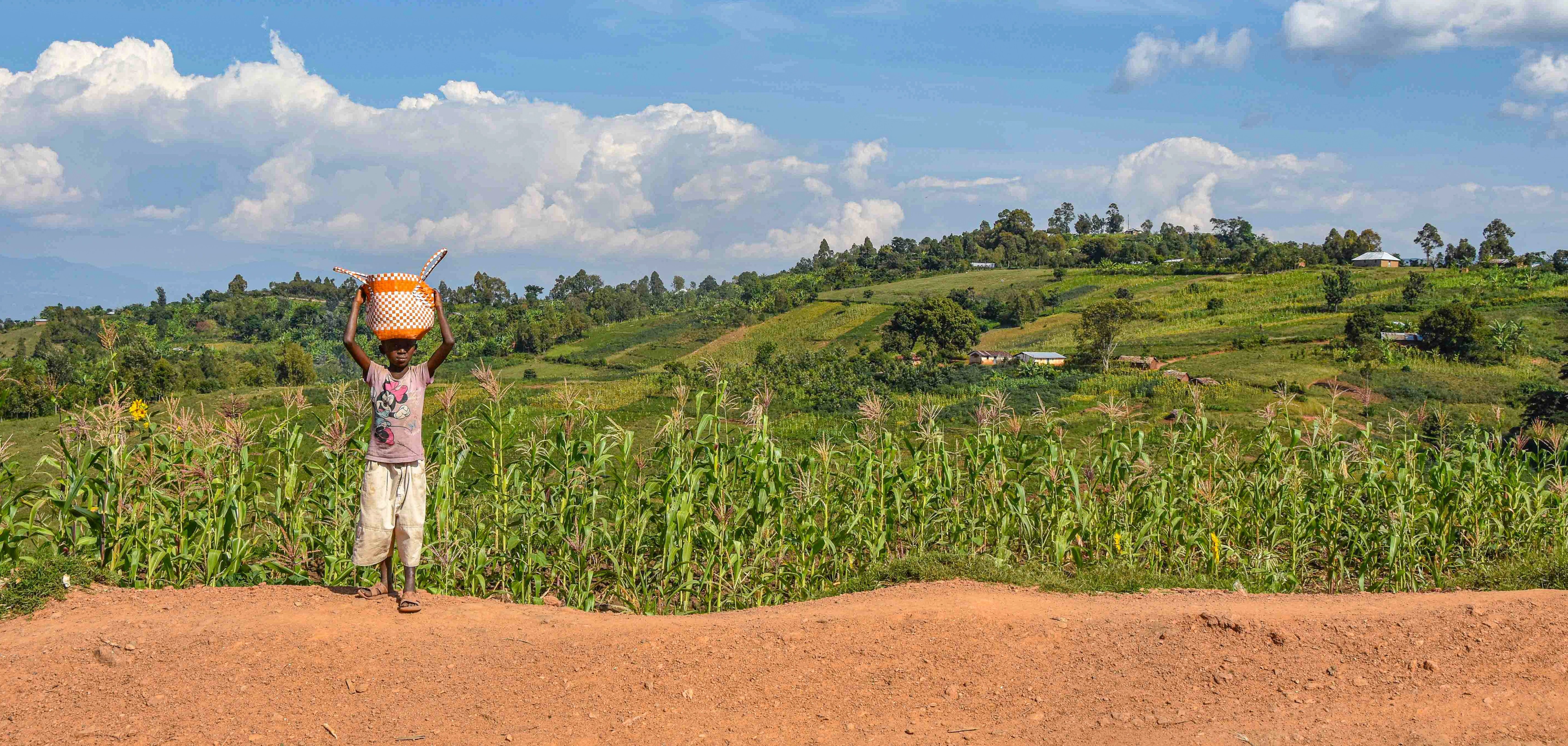 A boy stands on a road in front of a maize field, while behind him a green and hilly landscape stretches out