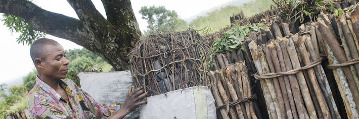 A man prepares a bag full of wood-fuel in a Congolese village