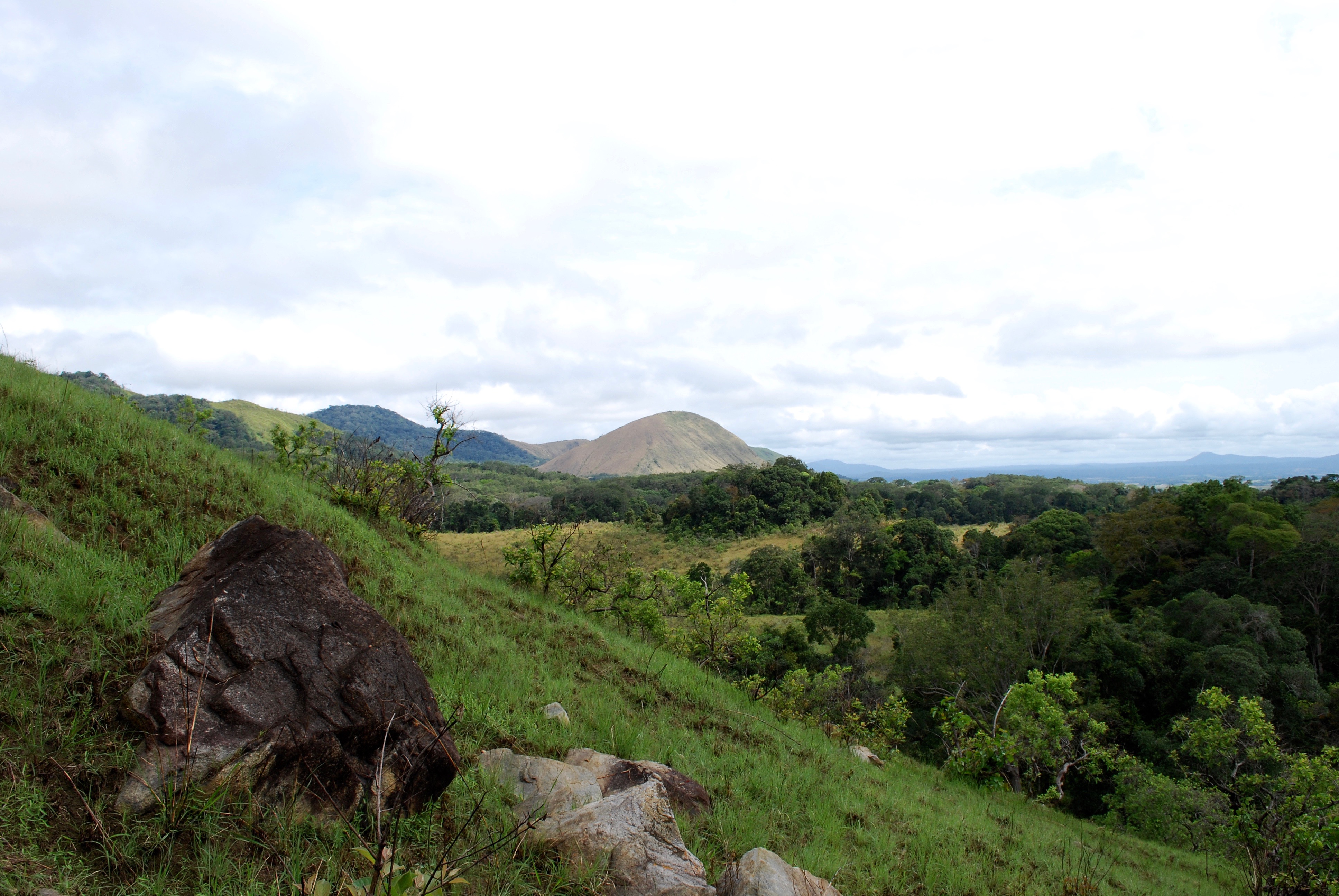 green scenery in Gabon