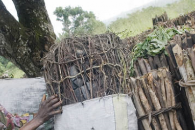 New Fund to develop sustainable energy in the DRC