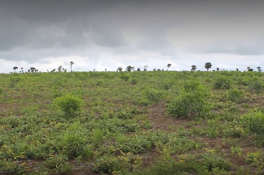 New Call for EoI launched in DRC through the Programme on Sustainable development of savannah and degraded forest areas